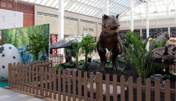 Camberleys very own prehistoric adventure arrives at The Square