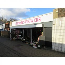 Allsorts Flowers