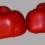 Sporting Ring Amatuer Boxing Club