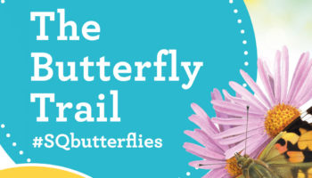 End of The Square Butterfly Trail